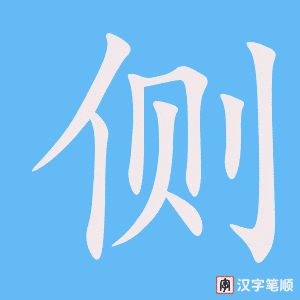 《侧》的笔顺动画写字动画演示