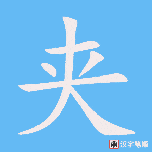 《夹》的笔顺动画写字动画演示