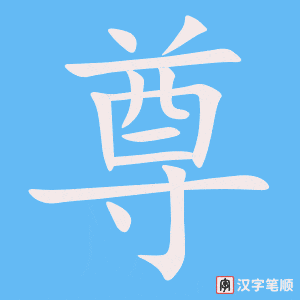 《尊》的笔顺动画写字动画演示