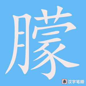 《朦》的笔顺动画写字动画演示