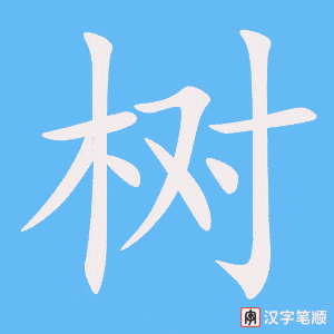 《树》的笔顺动画写字动画演示