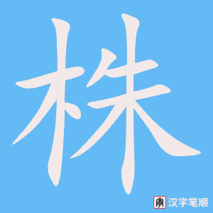《株》的笔顺动画写字动画演示