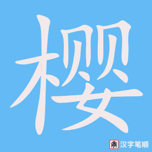 《樱》的笔顺动画写字动画演示