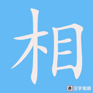 《相》的笔顺动画写字动画演示