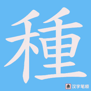 《種》的笔顺动画写字动画演示
