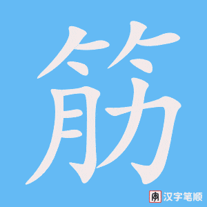 《筋》的笔顺动画写字动画演示