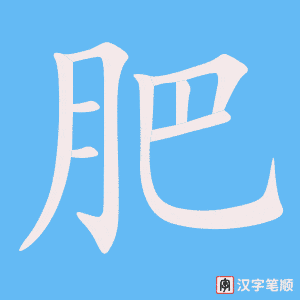 《肥》的笔顺动画写字动画演示