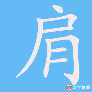 《肩》的笔顺动画写字动画演示