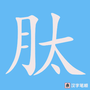 《肽》的笔顺动画写字动画演示