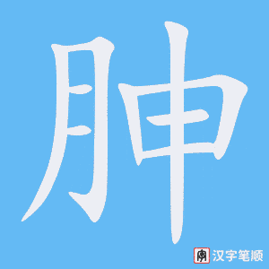 《胂》的笔顺动画写字动画演示