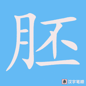 《胚》的笔顺动画写字动画演示