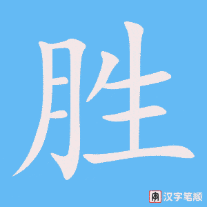 《胜》的笔顺动画写字动画演示