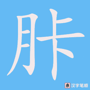 《胩》的笔顺动画写字动画演示