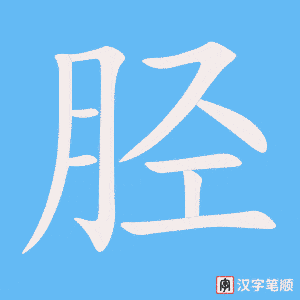 《胫》的笔顺动画写字动画演示