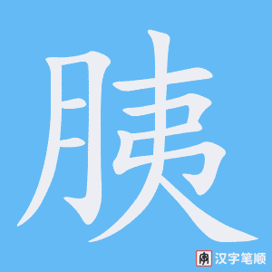 《胰》的笔顺动画写字动画演示