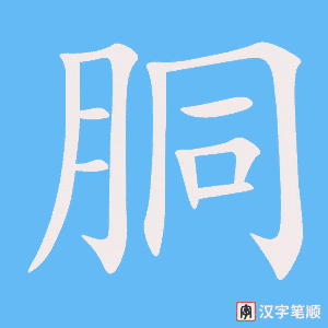 《胴》的笔顺动画写字动画演示