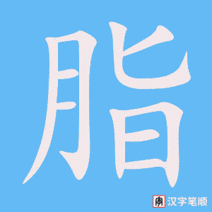 《脂》的笔顺动画写字动画演示