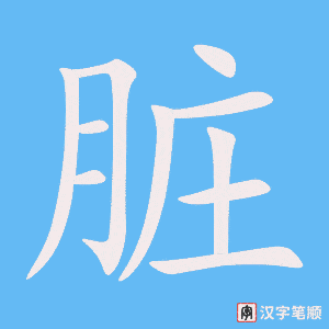 《脏》的笔顺动画写字动画演示