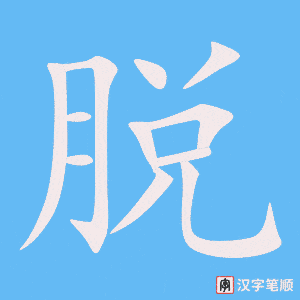 《脱》的笔顺动画写字动画演示