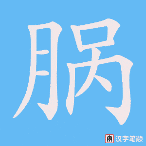 《脶》的笔顺动画写字动画演示