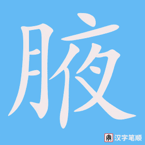 《腋》的笔顺动画写字动画演示