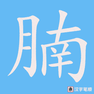 《腩》的笔顺动画写字动画演示