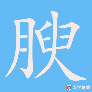 《腴》的笔顺动画写字动画演示