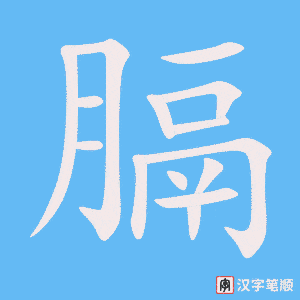 《膈》的笔顺动画写字动画演示