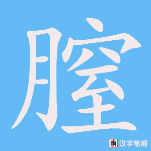 《膣》的笔顺动画写字动画演示