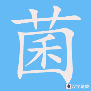 《菌》的笔顺动画写字动画演示