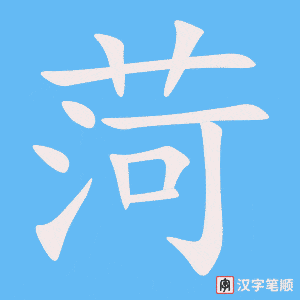 《菏》的笔顺动画写字动画演示