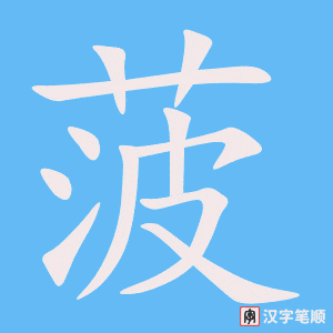 《菠》的笔顺动画写字动画演示