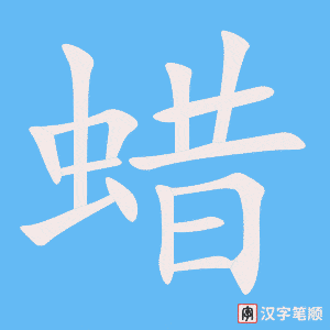《蜡》的笔顺动画写字动画演示