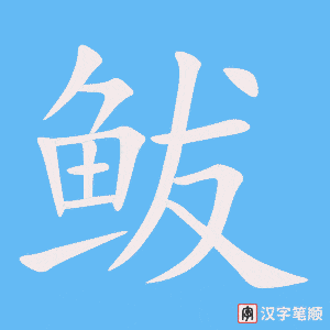 《鲅》的笔顺动画写字动画演示