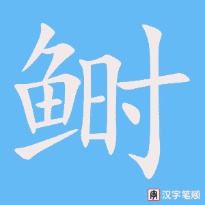 《鲥》的笔顺动画写字动画演示