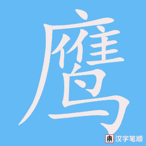 《鹰》的笔顺动画写字动画演示
