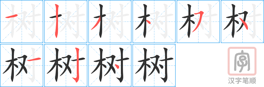 《树》的笔顺分步演示（一笔一画写字）