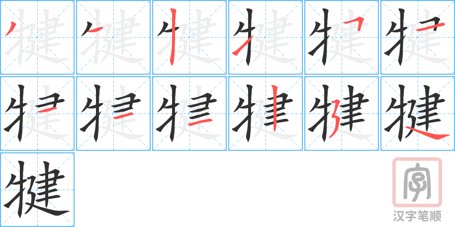 《犍》的笔顺分步演示（一笔一画写字）