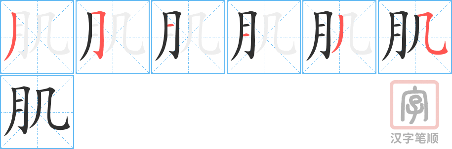 《肌》的笔顺分步演示（一笔一画写字）