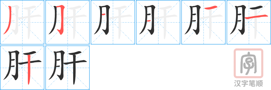 《肝》的笔顺分步演示（一笔一画写字）