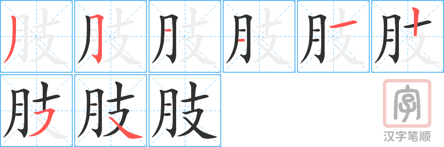 《肢》的笔顺分步演示（一笔一画写字）