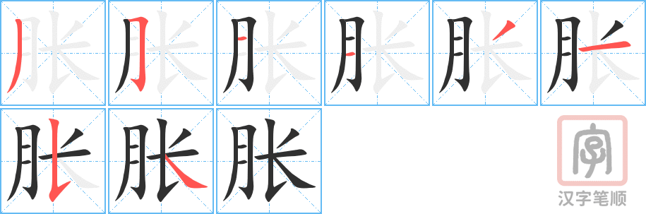 《胀》的笔顺分步演示（一笔一画写字）