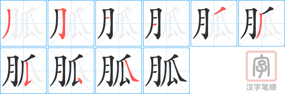 《胍》的笔顺分步演示（一笔一画写字）