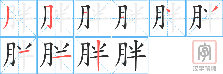 《胖》的笔顺分步演示（一笔一画写字）