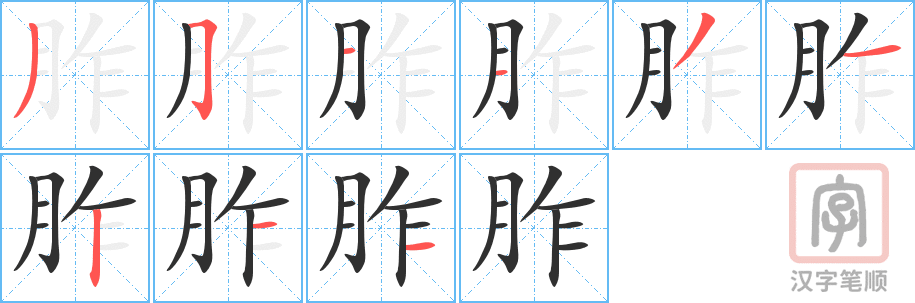 《胙》的笔顺分步演示（一笔一画写字）