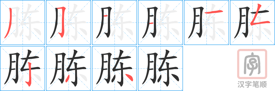 《胨》的笔顺分步演示（一笔一画写字）