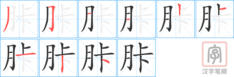 《胩》的笔顺分步演示（一笔一画写字）