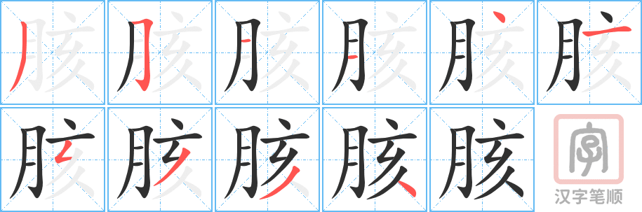 《胲》的笔顺分步演示（一笔一画写字）