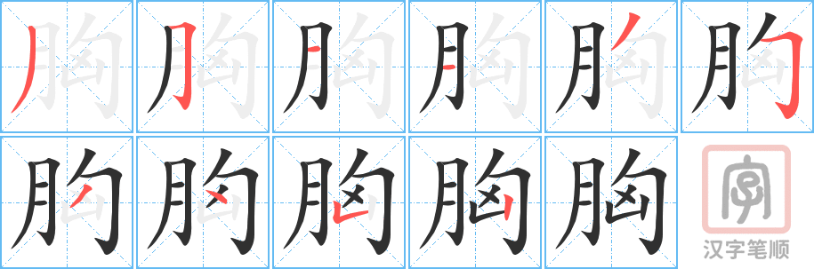 《胸》的笔顺分步演示（一笔一画写字）
