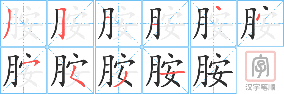 《胺》的笔顺分步演示（一笔一画写字）